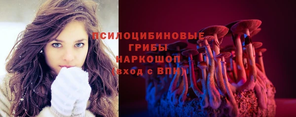 прущий лед Дмитров
