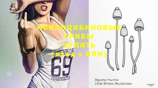 гидра Малоярославец