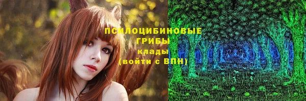 герыч Осташков