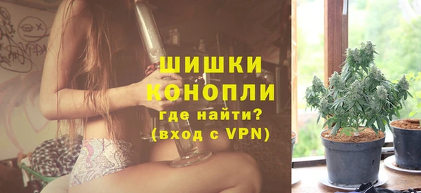 эйфоретик Гусев