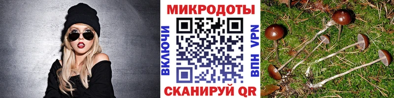Псилоцибиновые грибы ЛСД Печоры